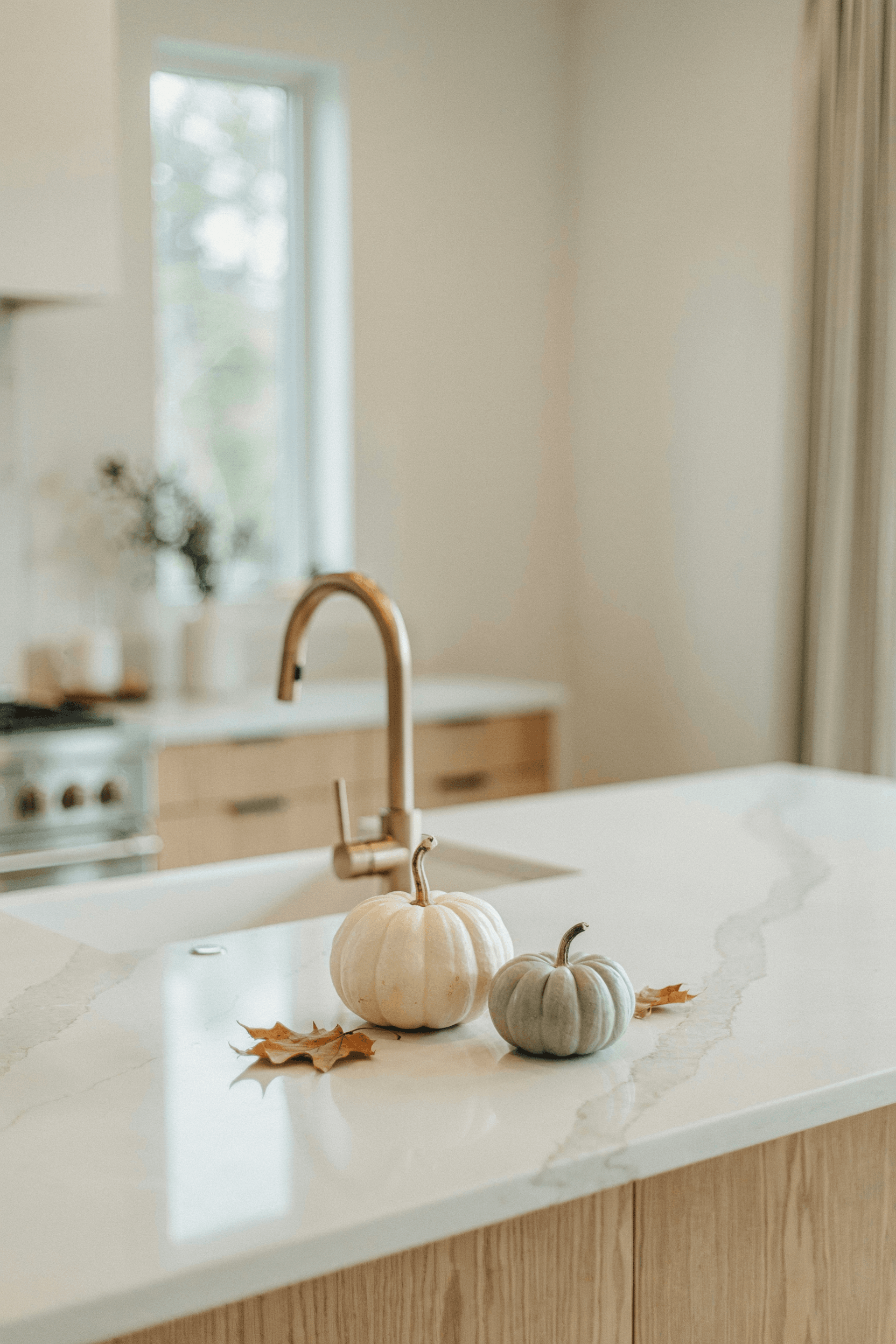 20 Kitchen Countertop Styling Ideas for a Modern & Organized Home