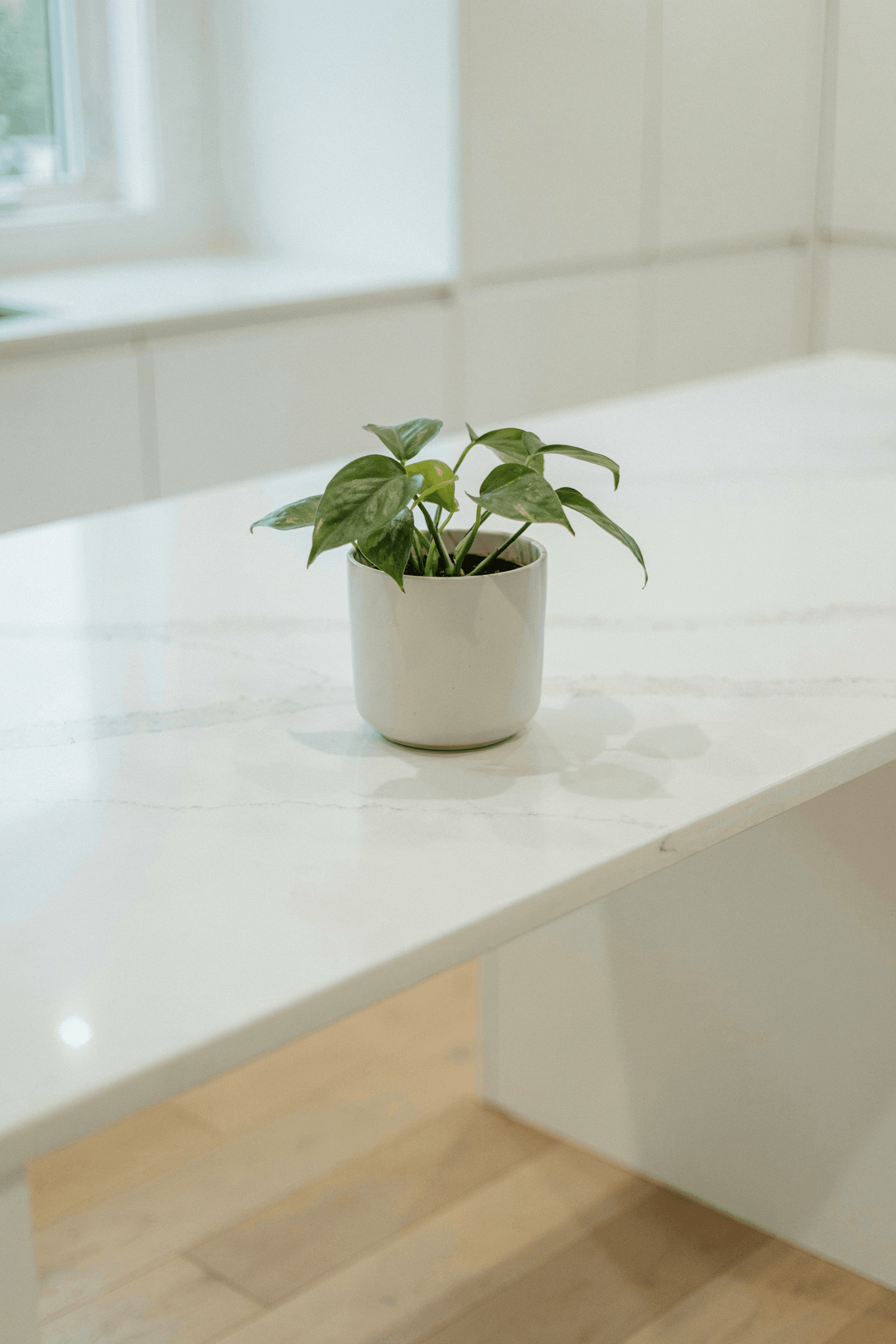 20 Kitchen Countertop Styling Ideas for a Modern & Organized Home